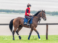 AK021025-17 - Believitanducan